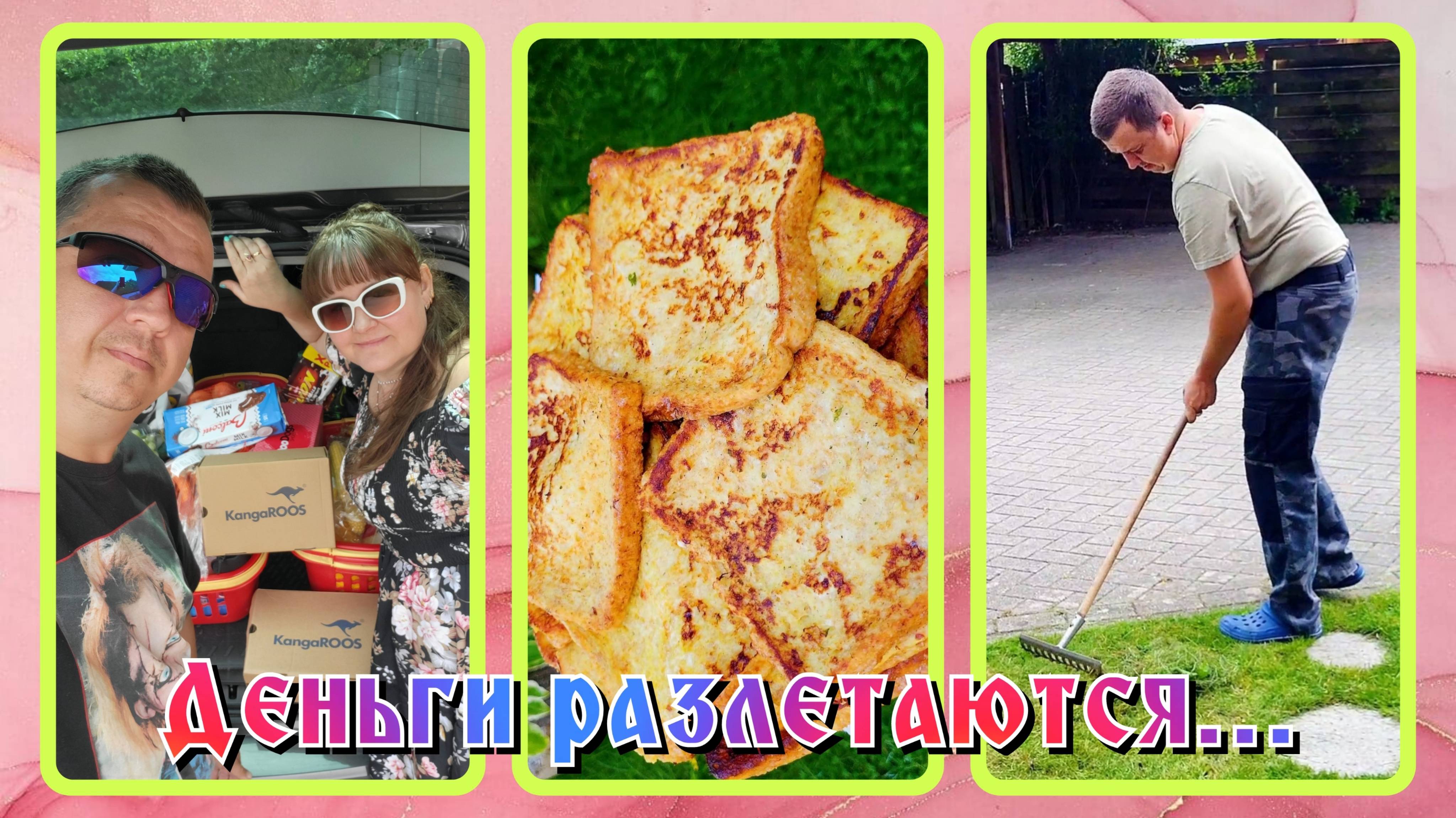 VLOG из 🇩🇪: Опять растраты! У нас поломалась газонокосилка!!!