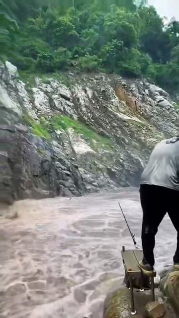 FREEWAVE — ваш поток   Ведео Разной Тематики