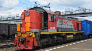 Тепловоз ТЭМ2-7434. Звук двигателя ПД-1М.