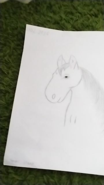 Дашикс Майнкрафт