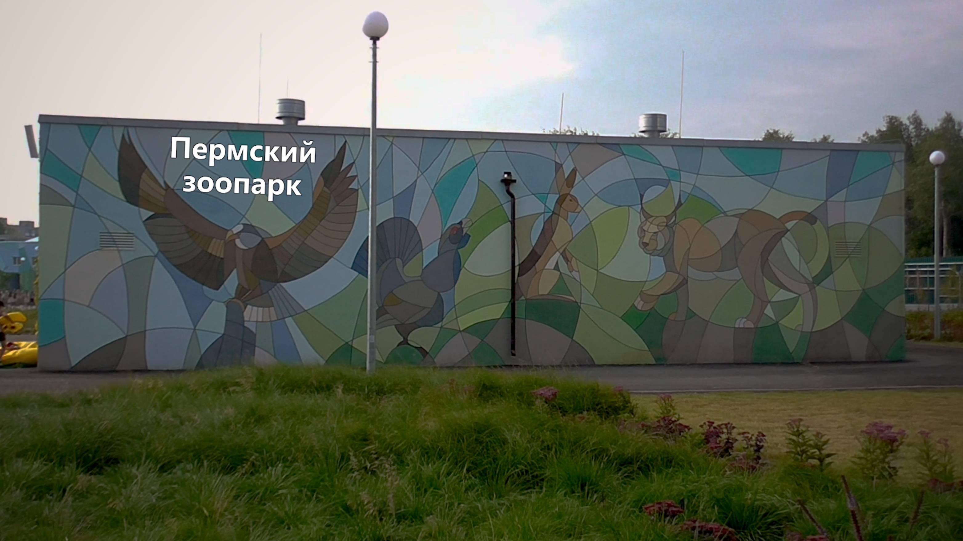 Пермский зоопарк: новый, открытый, полупустой