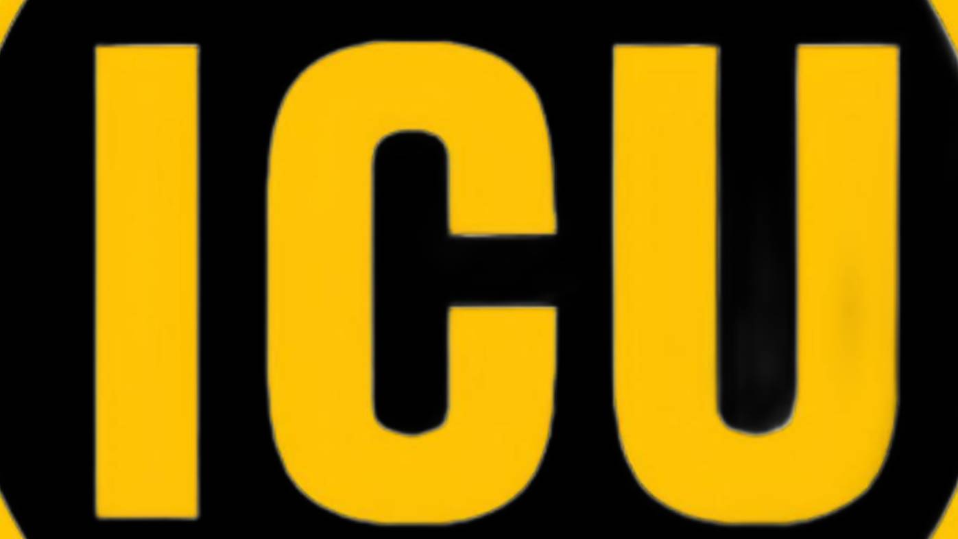 Воронова Евгения мастер коуч ICU