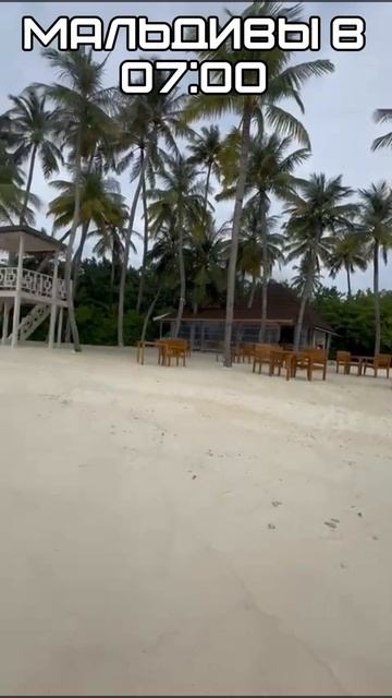 Яна - директор агентства недвижимости МДН. НОВОСТИ