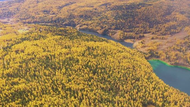 ПРИРОДА РОССИИ. ПОЛЯ, ЛЕСА, ЦВЕТЫ, ДЕРЕВЬЯ, РЕКИ смотреть онлайн