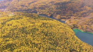 ПРИРОДА РОССИИ. ПОЛЯ, ЛЕСА, ЦВЕТЫ, ДЕРЕВЬЯ, РЕКИ