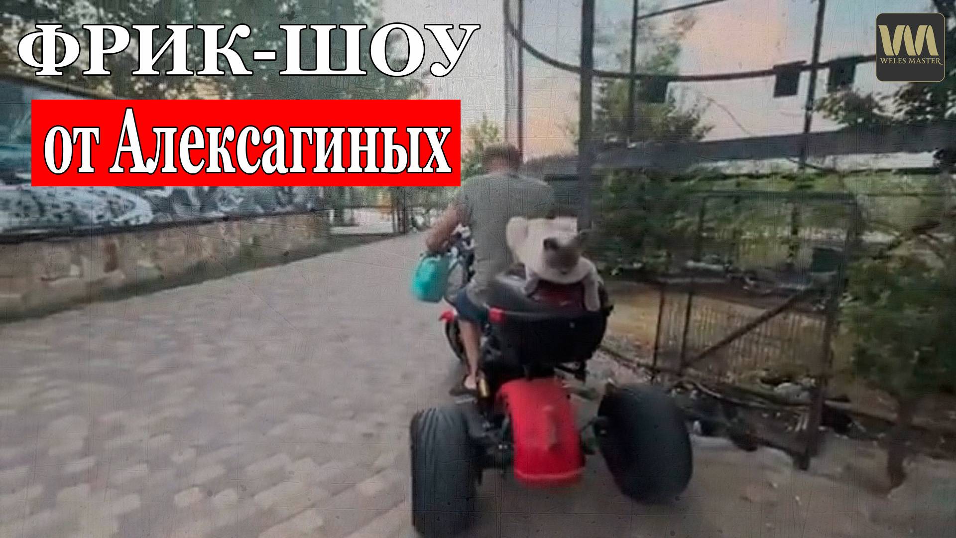 Фрик-шоу в "Тайгане" от Алексагиных, 8 августа смотреть онлайн