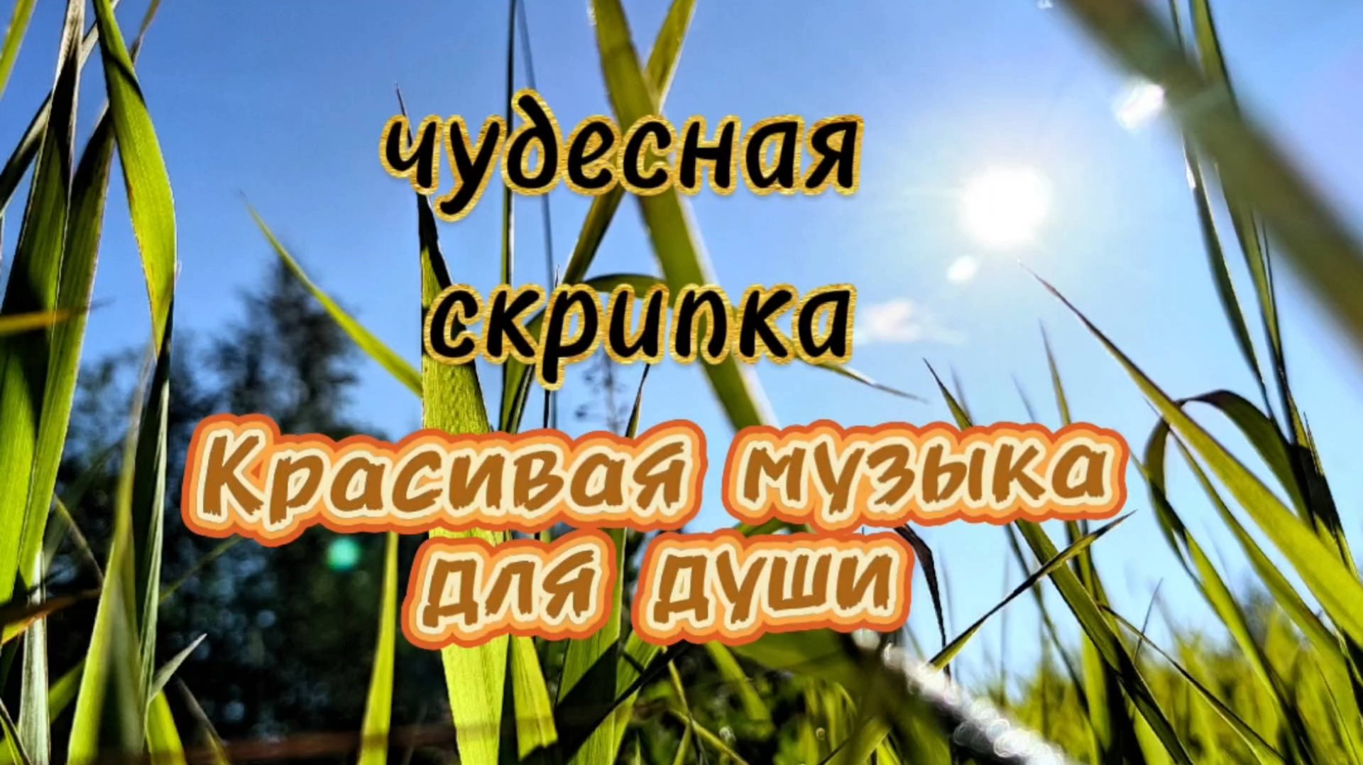 Музыка для души. Чудесная скрипка. смотреть онлайн