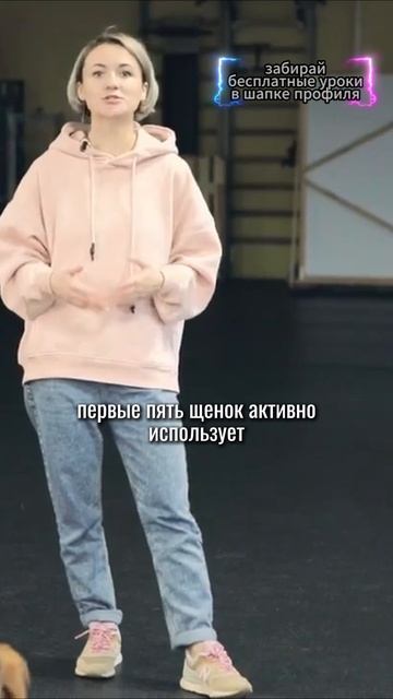 🎁Бесплатные уроки. Жми сюда! смотреть онлайн