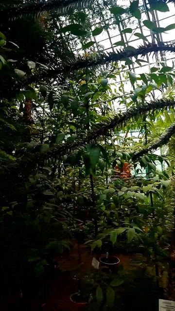 Светлана Кутузова