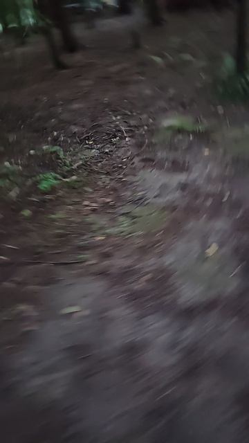 Я в лесу продолжение через 3 минуты смотреть онлайн