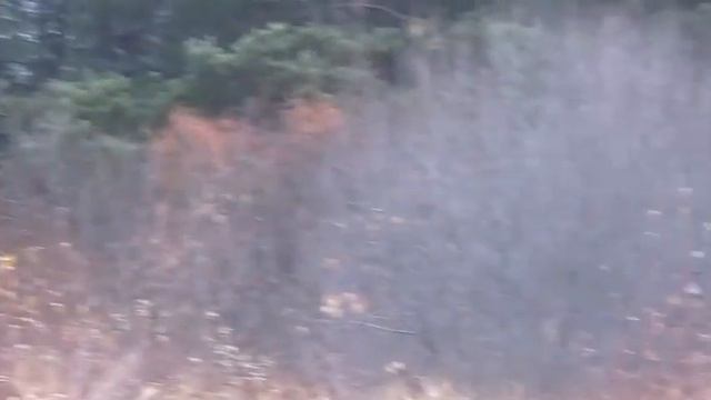 Как твои дела - Автор музыка и поёт Дмитрий Костромской смотреть онлайн