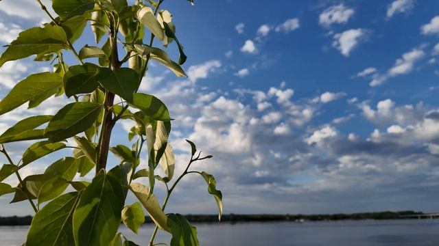 Новый мост через Каму Обзор мест будущего строительства Пермь 2024 смотреть онлайн