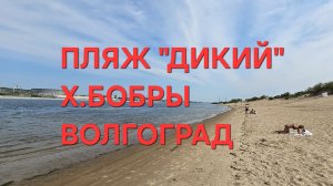 Пляж "Дикий" х.Бобры Волгоград