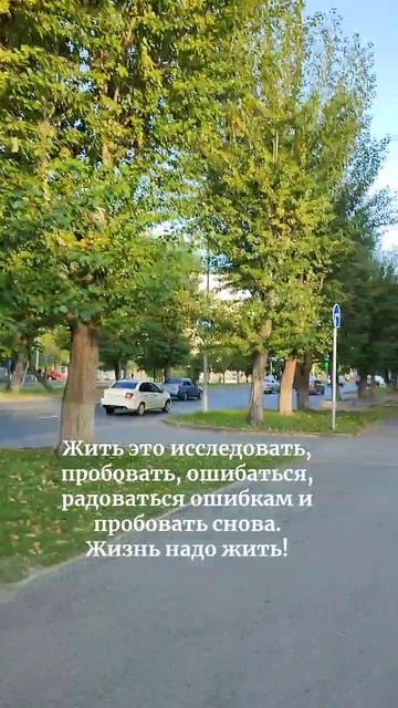 Психолог для экспертов | Светлана Алферова