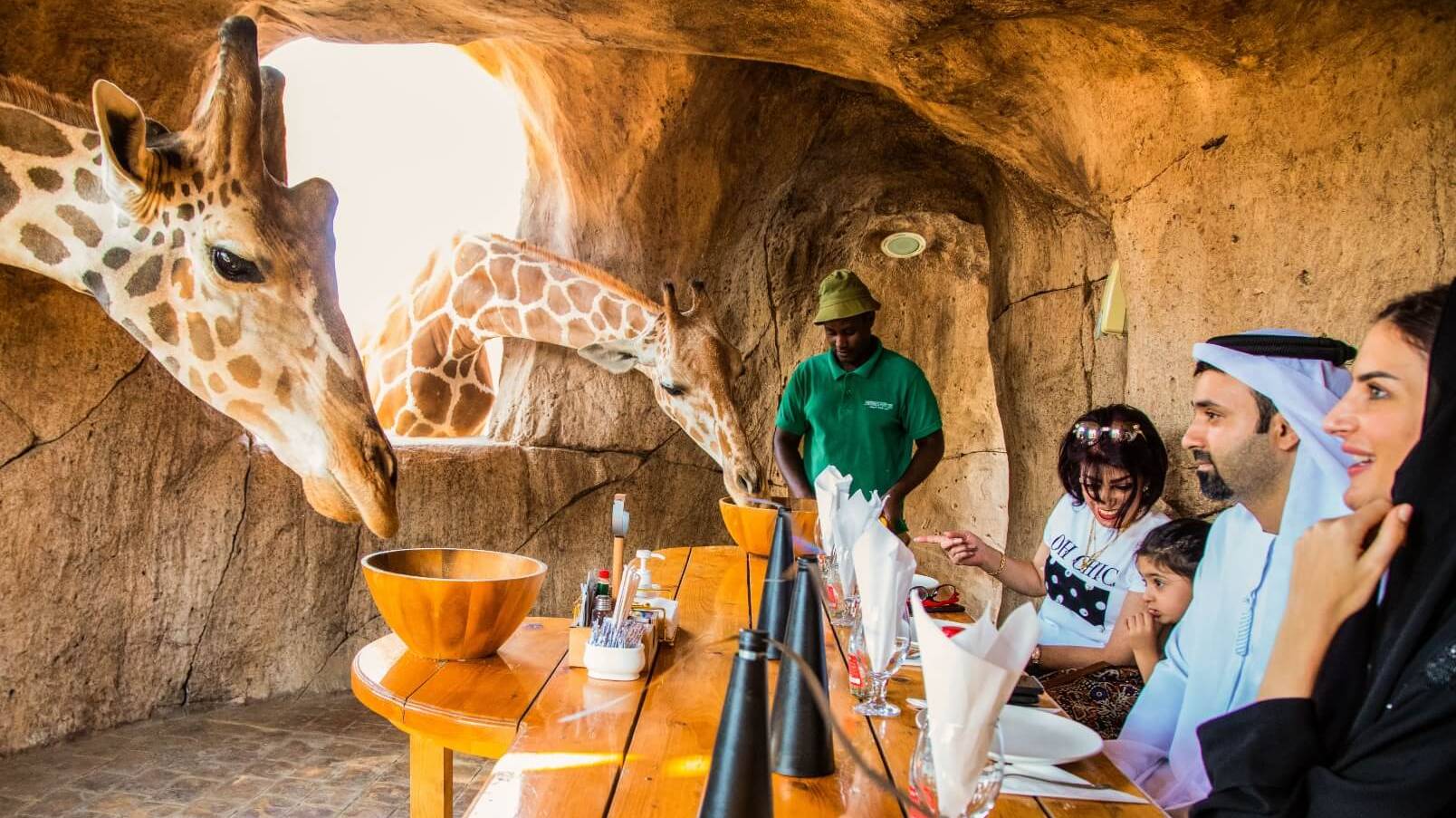 Emirates park zoo самый лучший и любимый зоопарк в арабских эмиратах в Абу Даби. смотреть онлайн