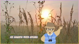 Ах как хочется вернуться… (фото архив 4к).