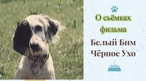 Белый Бим Чёрное Ухо