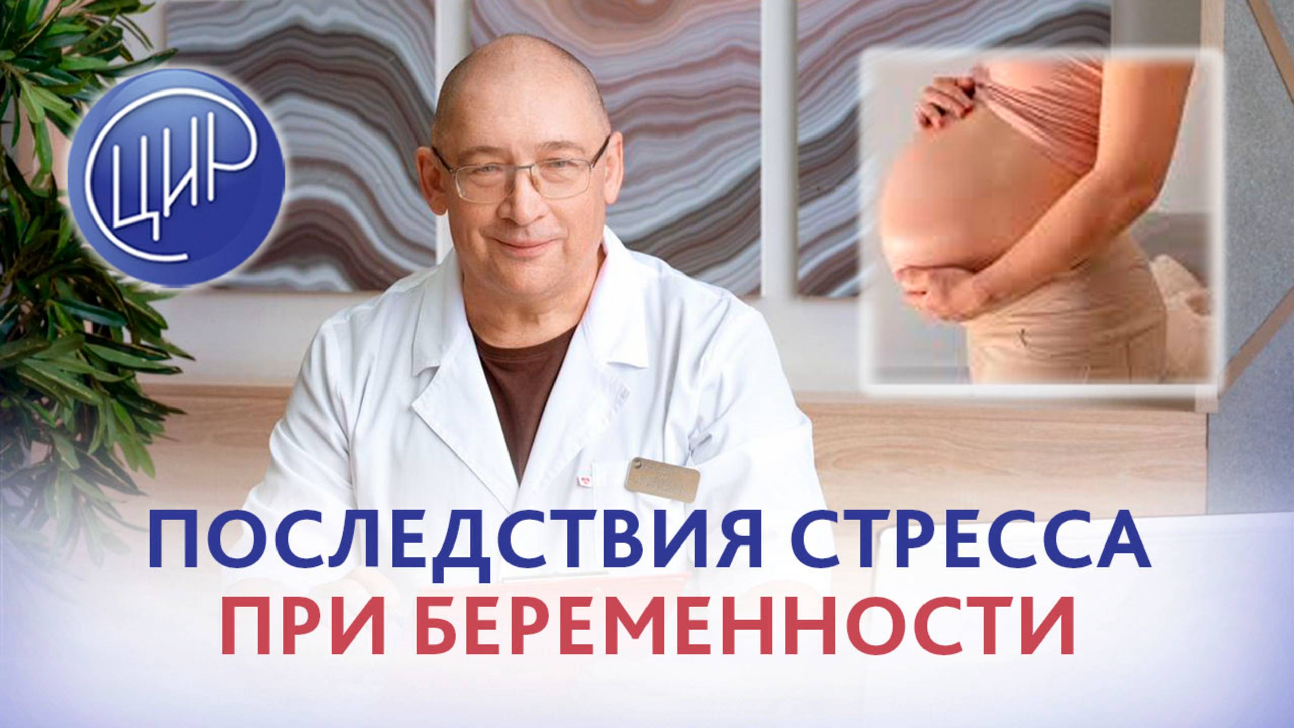 Стресс при беременности и его последствия. Стресс-программирование. Игорь Иванович Гузов. смотреть онлайн