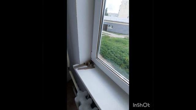пр победы 53 смотреть онлайн