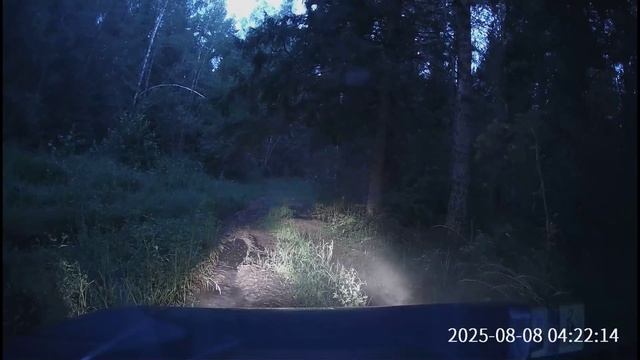 Чуток грязи