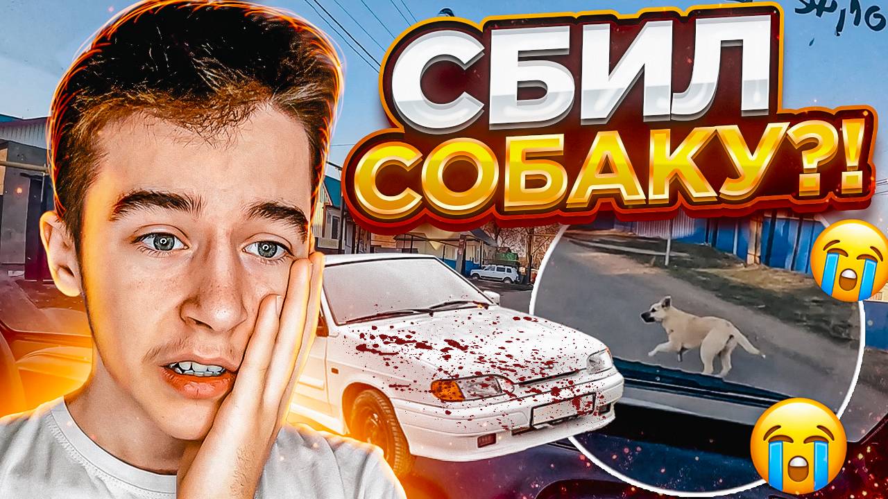Я СБИЛ СОБАКУ?!?! ПОДПИСЧИКИ МЕНЯ ПРЕСЛЕДУЮТ ! ПРОКАТИЛСЯ С ДЕВУШКОЙ НА КВАДРОЦИКЛЕ ! смотреть онлайн