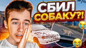 Я СБИЛ СОБАКУ?!?! ПОДПИСЧИКИ МЕНЯ ПРЕСЛЕДУЮТ ! ПРОКАТИЛСЯ С ДЕВУШКОЙ НА КВАДРОЦИКЛЕ !