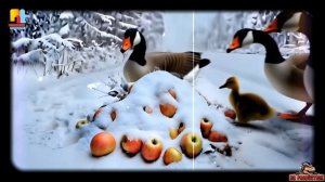 ИИ - Яблоки На Снегу