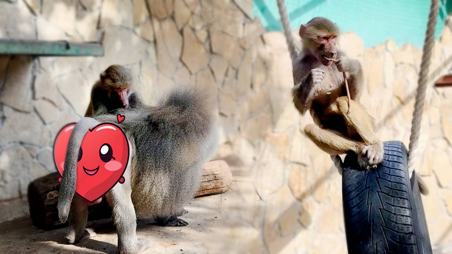 СТАРОЕ! НОВОЕ! Не опять, а снова! Какое положение у Люси в семье СЕГОДНЯ, ЗАВТРА и через НЕДЕЛЮ! смотреть онлайн