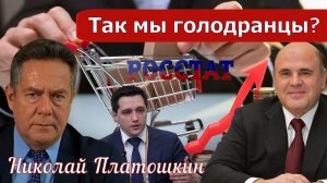 Николай Платошкин _О ДАННЫХ РОССТАТА _Наши зарплаты...