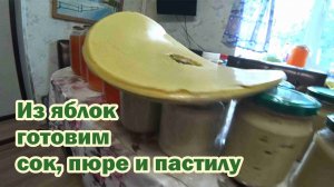 Делаем сок, пюре и пастилу из яблок