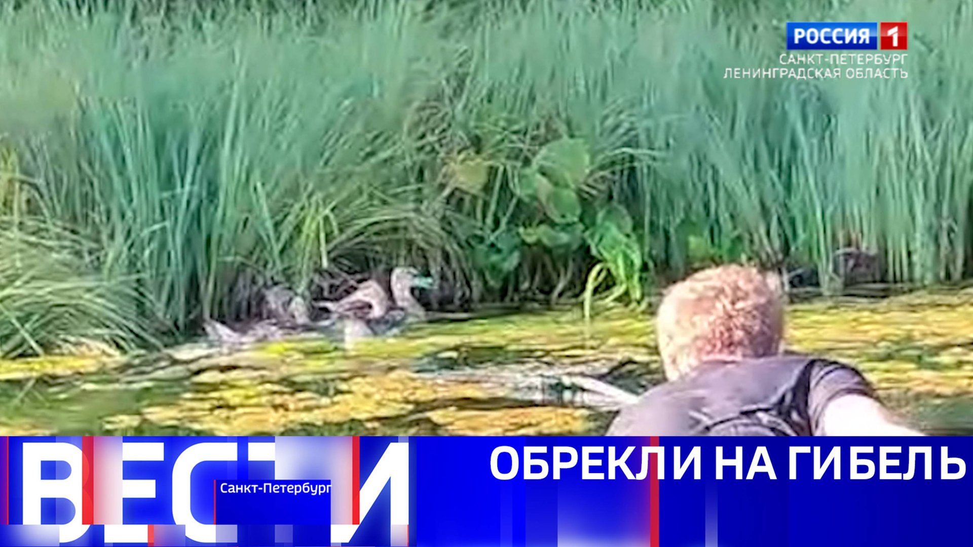 ГТРК Санкт-Петербург