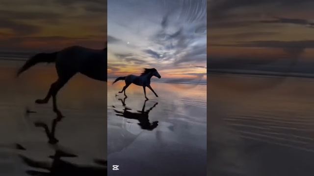 скажи мне жизнь #shorts