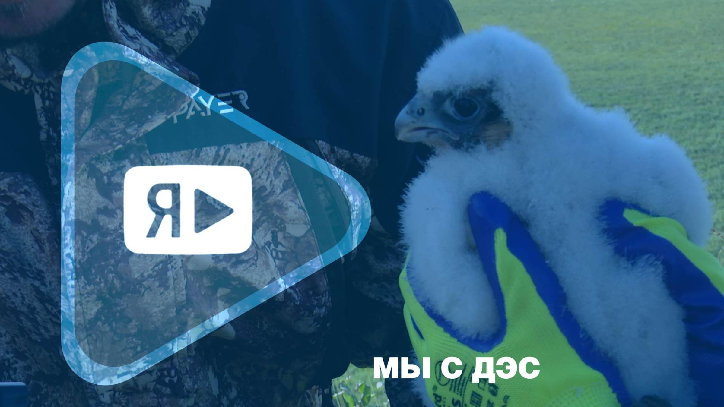 МЫ С ДЭС / Новоуренгойские натуралисты в экспедиции на Ямбургском месторождении смотреть онлайн