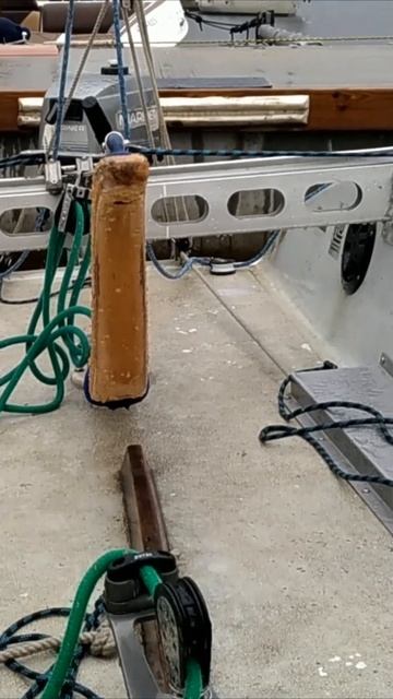 Светлана Кутузова