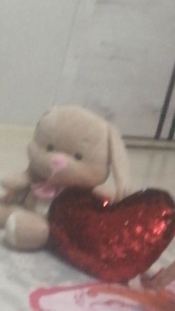 Мой обычный день в доме