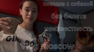 ВЛОГ ИЗ МОСКВЫ: ПОЕЗДКА НА ПОЕЗДЕ С ДЕТЬМИ И СОБАКОЙ — ТРЕШ, КОТОРЫЙ ВЗОРВАЛ ГОЛОВУ!