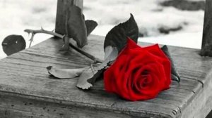 Band ODESSA - Роза на асфальте