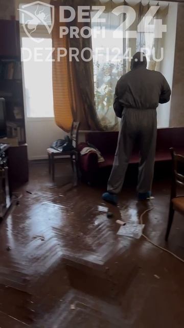 Удаление трупного запаха