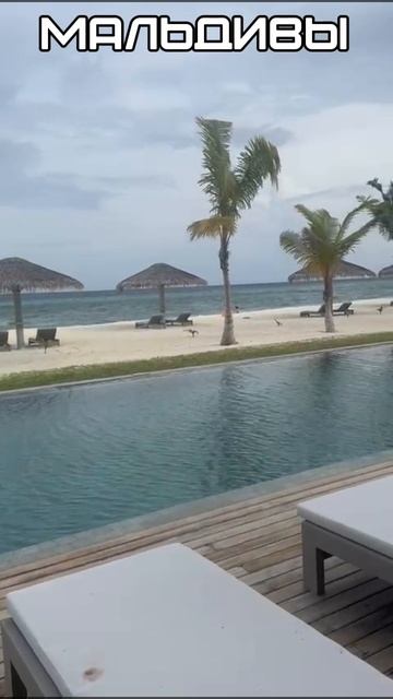 Яна - директор агентства недвижимости МДН. НОВОСТИ