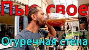 Сделали стену в огород. Натуральны, вкусный, полезный, дешевле чем из магазина, своими руками.