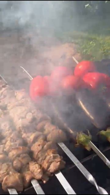 ШАШЛЫК | ПРИКОЛ | ЗАДОРНОВ🍖🤣 #шашлык #shorts #bestshorts #tiktok #тренд #задорнов #отдых #выходные