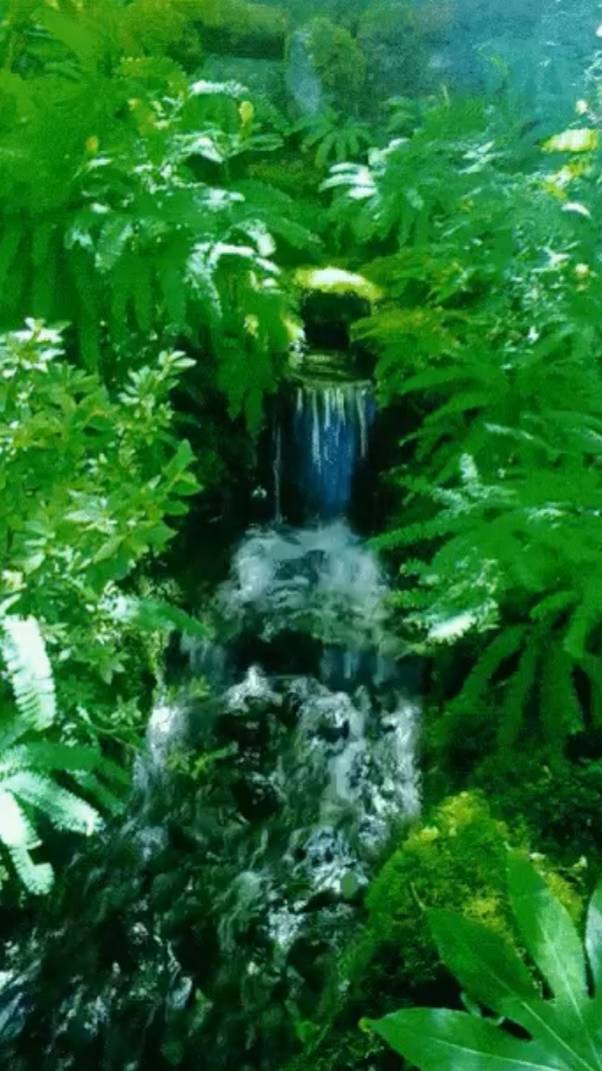 Запомни! смотреть онлайн