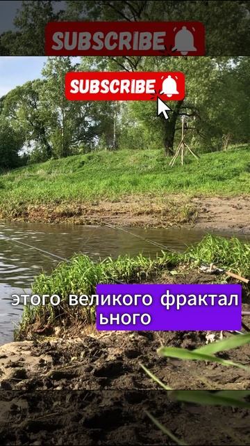 РЫБАЛКА | УМИРОТВОРЕНИЕ | РЫБАКИ ПОЙМУТ☺️🐠🎣  #рыбалка #fishing #река #истина #тренд #природа #рыба