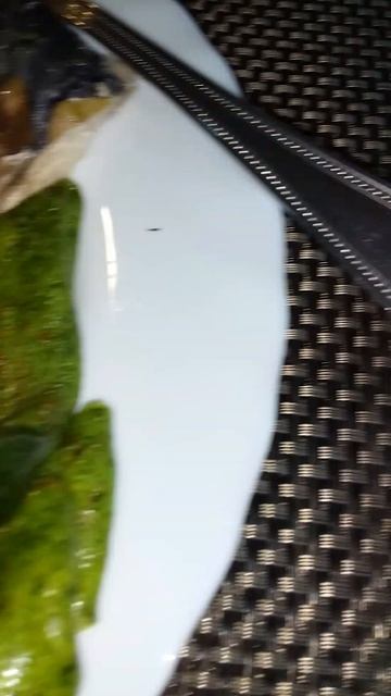 Буржуйский ужин