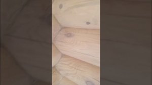 Покраска дома из оцилиндрованного бревна, все этапы