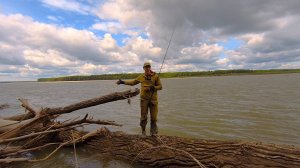 ВНОВЬ ШТУРМУЕМ ОБСКИЕ КОРЯГИ спиннинговая рыбалка с берега, поиск щуки