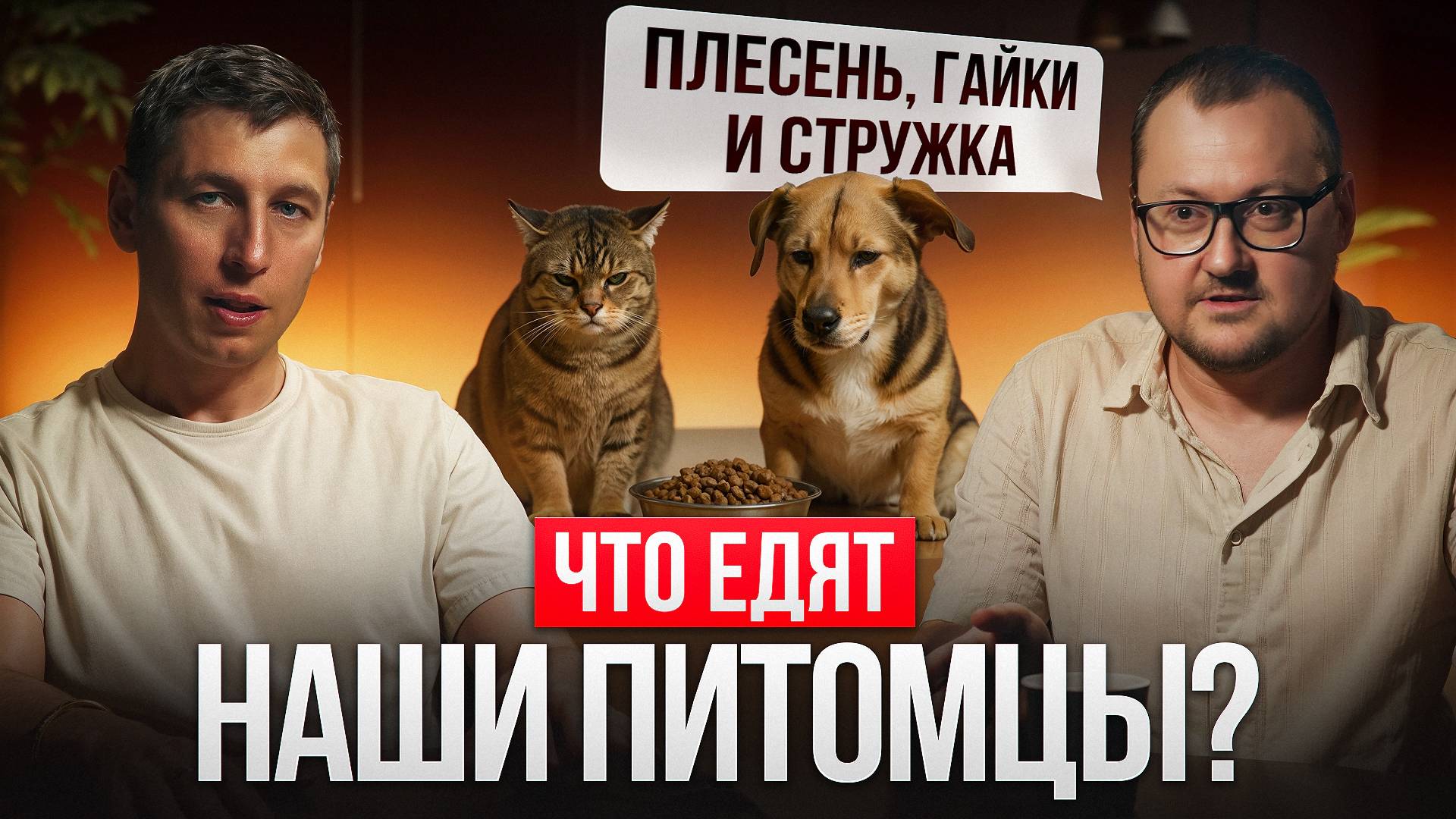 ВСЯ ПРАВДА О КОРМАХ ДЛЯ СОБАК И КОШЕК смотреть онлайн