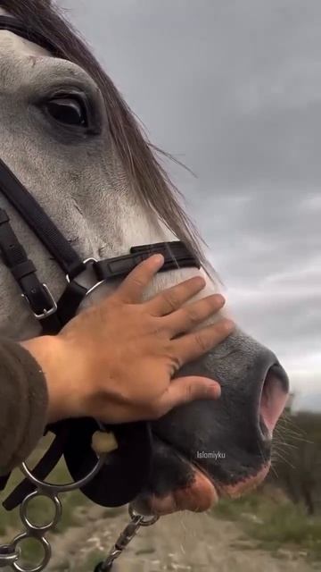 Абдуллох домла смотреть онлайн