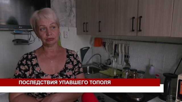ПОСЛЕДСТВИЯ УПАВШЕГО ТОПОЛЯ смотреть онлайн