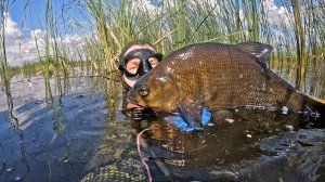 ПОДВОДНАЯ РЫБАЛКА 2025. ЭТО МЕСТО КИШИТ РЫБОЙ! Щука, Окунь, Линь, Лещ.